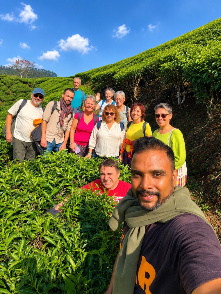 Groupe de voyageurs francophones dans les plantations de the de Munnar avec leur guide